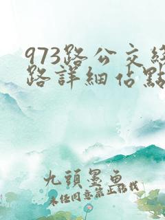973路公交线路详细站点查询