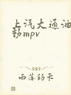 上汽大通油电混动mpv 上汽大通油电混动mpv