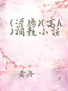 (灌肠)(高h)调教小说