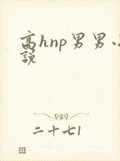高hnp男男小说