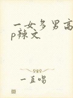 一女多男高hnp辣文