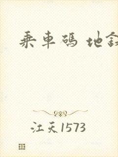 乘车码 地铁