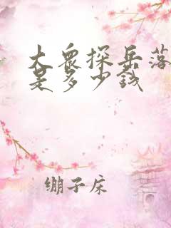 大众探岳落地价是多少钱