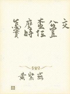 怎么查公交车的实时位置