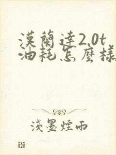 汉兰达2.0t油耗怎么样