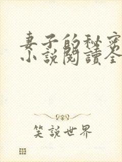 妻子的秘密吴双小说阅读全文