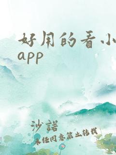 好用的看小说的app