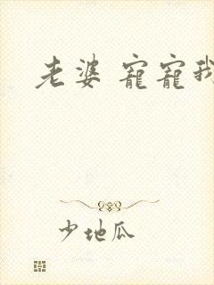 老婆 宠宠我吧