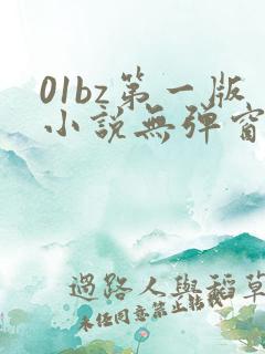 01bz第一版小说无弹窗