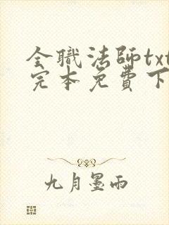 全职法师txt完本免费下载