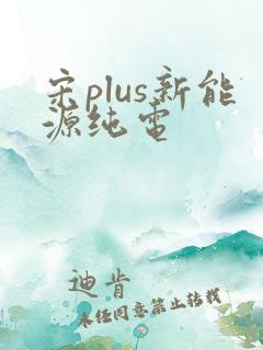 宋plus新能源纯电