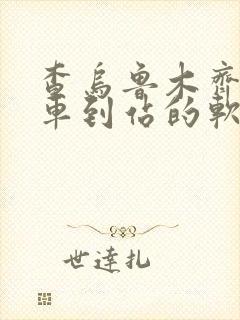 查乌鲁木齐公交车到站的软件叫什么