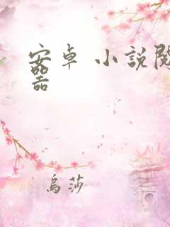 安卓 小说阅读器