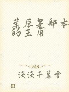 叶辰是哪本小说的主角