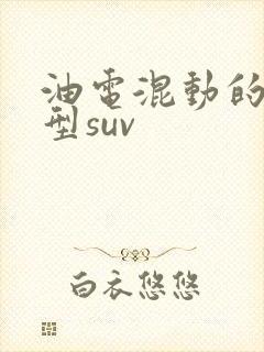 油电混动的中大型suv
