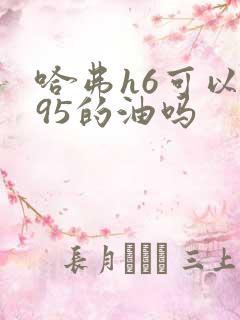 哈弗h6可以加95的油吗
