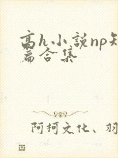高h小说np短篇合集