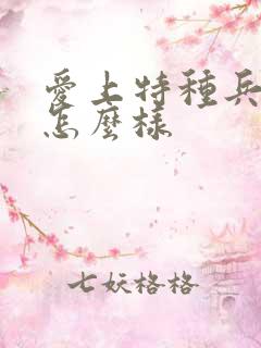 爱上特种兵结局怎么样