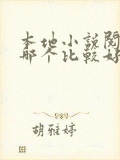 本地小说阅读器哪个比较好