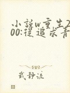 小说w重生2000:从追求青涩校花同桌开始》