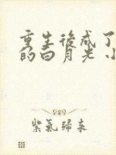 重生后成了皇帝的白月光 小说