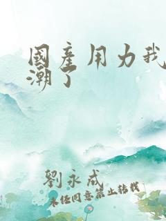 国产用力我要高潮了