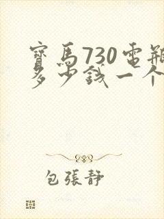 宝马730电瓶多少钱一个