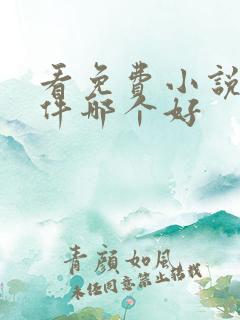看免费小说的软件哪个好