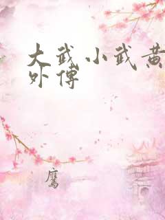 大武小武黄蓉番外传 大武小武黄蓉番外传