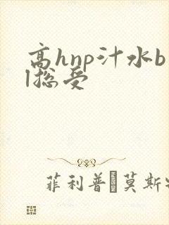 高hnp汁水bl总受