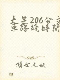 大足206公交车路线时间表