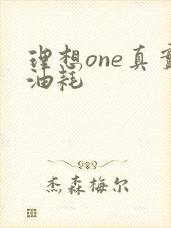理想one真实油耗