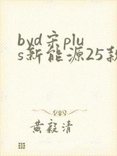 byd宋plus新能源25款