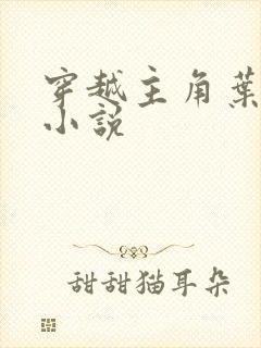 穿越主角叶辰的小说