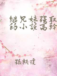 继兄妹强取豪夺的小说高干文