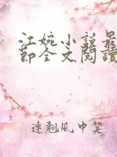 江婉小说最新章节全文阅读