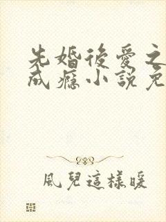 先婚后爱之宠妻成瘾小说免费阅读