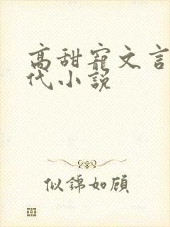 高甜宠文言情现代小说