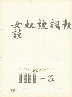 女奴被调教的小说