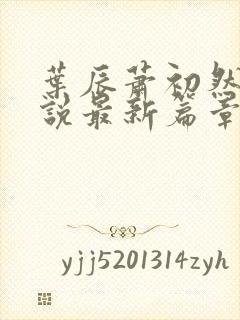 叶辰萧初然的小说最新篇章