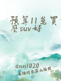预算11万买什么suv好