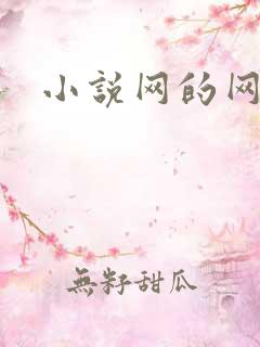 小说网的网址