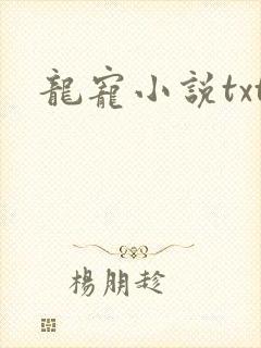 龙宠小说txt 龙宠小说txt