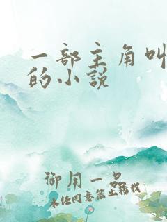 一部主角叫叶楚的小说