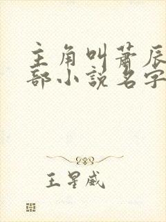 主角叫萧辰的全部小说名字 主角叫萧辰的全部小说名字