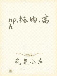 np,纯肉,高h