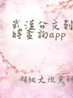 武汉公交到站实时查询app 武汉公交到站实时查询app