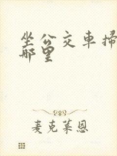 坐公交车扫码扫哪里