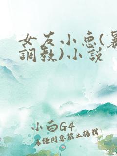 女友小惠(暴露调教)小说
