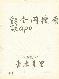 能全网搜索的小说app